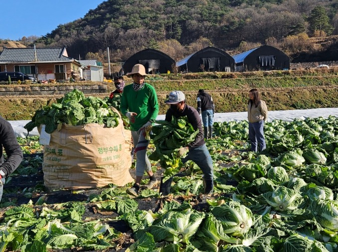 Entlastung bei der Pflegeversicherung für ausländische Saisonarbeitskräfte
