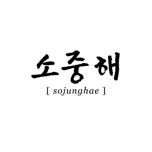 소중해 (𝘴𝘰𝘫𝘶𝘯𝘨𝘩𝘢𝘦)