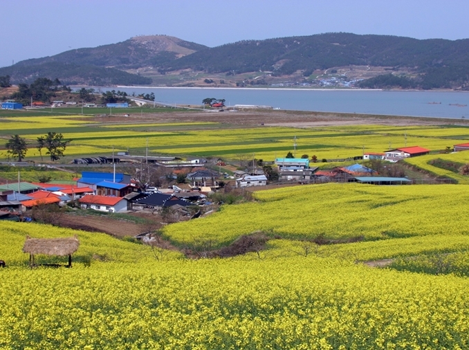 Korea wählte neun Regionen für das „Half-price Travel“ -Programm aus