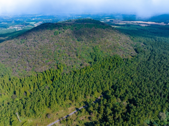 [Exzellenz der koreanischen öffentlichen Verwaltung] ④ Koreanische Wiederaufforstungspolitik