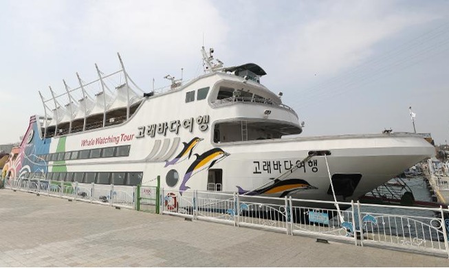 Walbeobachtungsschiff in Korea begann seine regelmäßigen Fahrten
